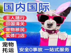 龙洞堡机场快递国际宠物托运 【国